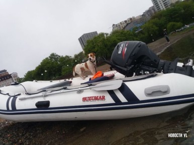 Джек-рассел по кличке Джек стал интернет-звездой во Владивостоке: ролик, где он у Токаревского маяка ныряет в воду и по одной вытаскивает сельдь, быстро разошелся по соцсетям