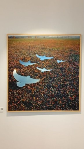 �������� �� ������. ������ ������ ����� �������������� �������������