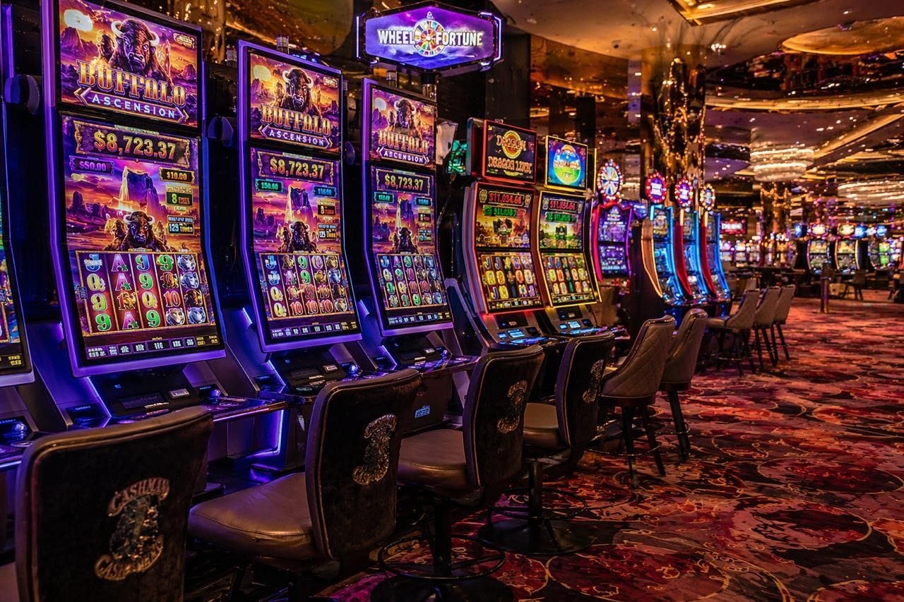 Посещаемость курорта «Приморье» в 2025 году увеличилась на 12%