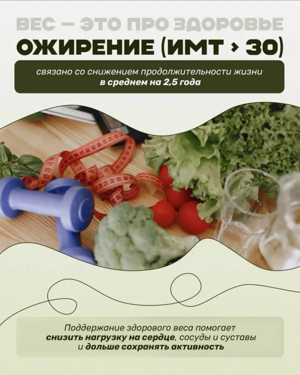 #ЗДОРОВЬЕ_СГТ: Всемирный день здоровья #ЗДОРОВЬЕ_СГТ: Всемирный день здоровья