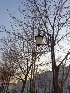 Доброе утро, Уссурийск!. Сегодня 7 апреля — Всемирный день здоровья