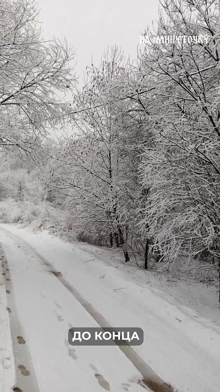 Снег и дождь накрыли Приморье этой ночью