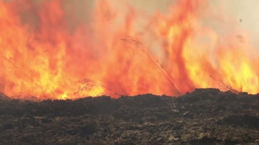 �������� ����� ����� �������� � ������