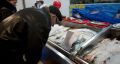 Как правильно выбрать охлажденную рыбу: советы эксперта