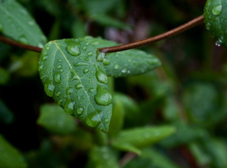 14-17 ������ � 19-22 ��� ����� ����������� ������ �� ������������� ��������� �������� ��������