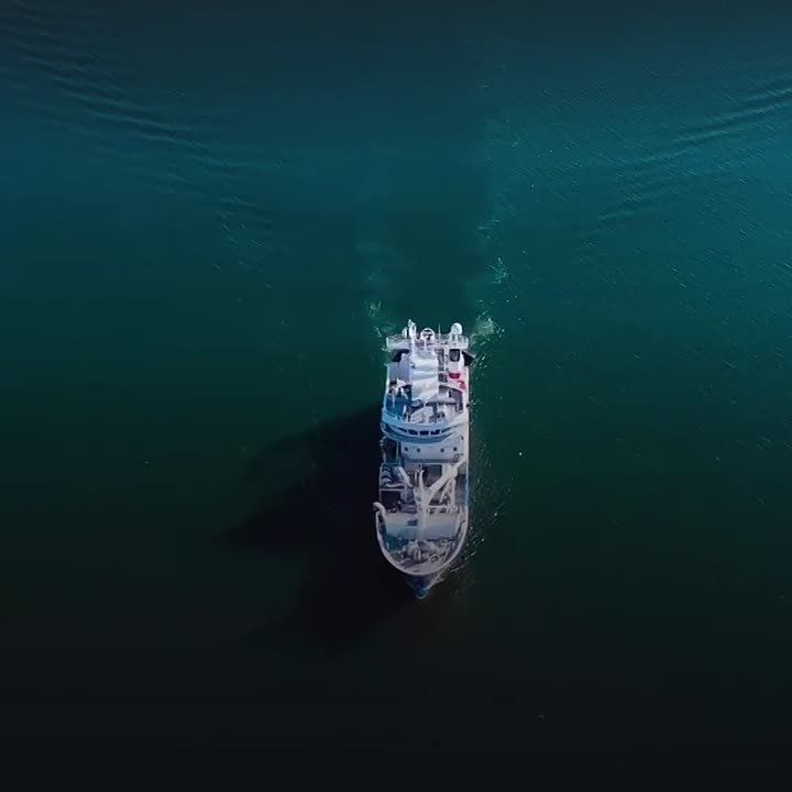 ������������ ������-2026: ����� ������� ���� ������, ���� �� ������ � ������