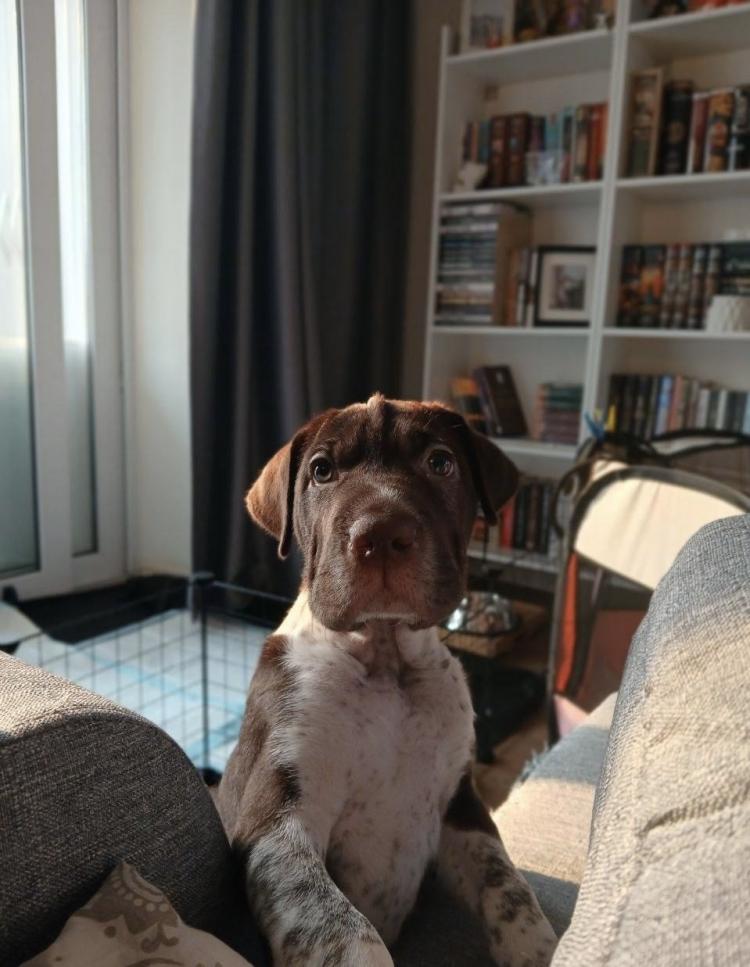 В конце января жительница Приморья совершила случайное, но судьбоносное открытие: ночью у колодца она услышала слабый писк