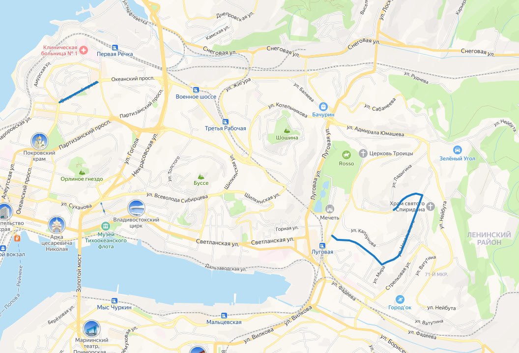 Капитально ремонтировать 3 км дорог на Невельского, Черняховского и Океанском проспекте будет один подрядчик