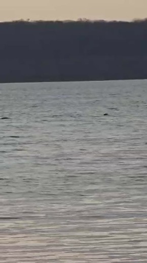 �� ������������ � ���� � ������� �������� �������� ���� ����