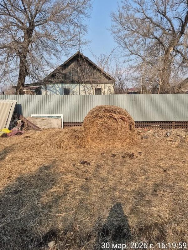 � ���������� �������� 59 ��������� ������ ���������������