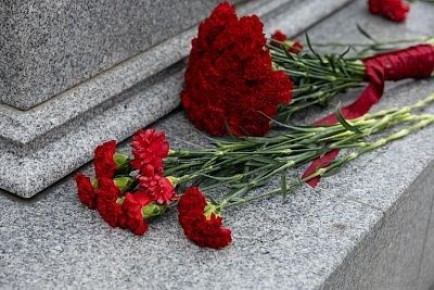 �� ������������ ������ �������� �����������, ������������ � �������������� ��� ������������ ������� ���������� ����������� (11 ������)