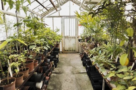 ���� �� ��������: ������ ����� � ��������� ����� ��� ���������� � ������ ������