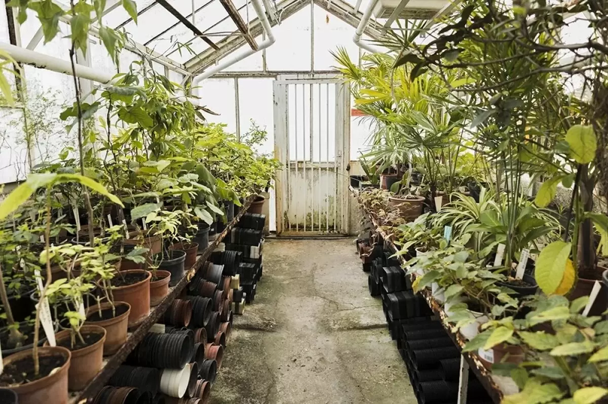 Уход за теплицей: почему осень — идеальное время для подготовки к новому сезону