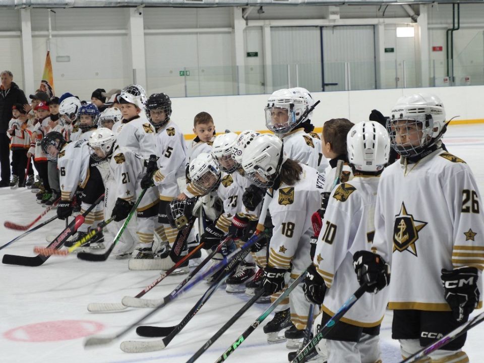 ��������� ������ ������ ���� ����������� � ����������