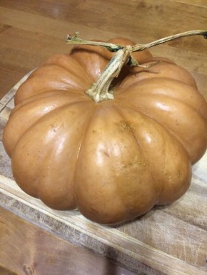 Уроки от необычной тыквы