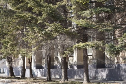 Доброе утро, Уссурийск!. Сегодня четверг, 9 апреля