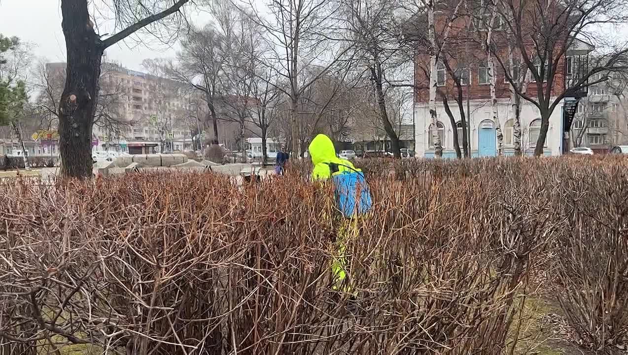 Городские парки и скверы Уссурийска обрабатывают от клещей