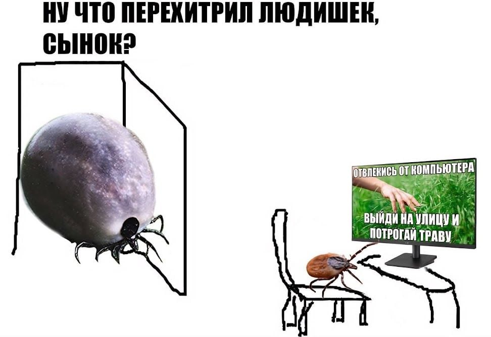 В Приморье каждый шестой исследованный клещ является переносчиком инфекций