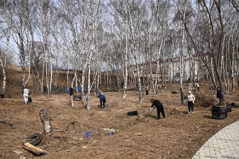 ������ ������� � �������: ����� ������ ������� � �������