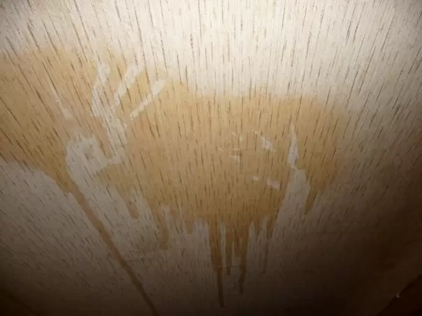 Коричневые пятна на обоях: причины и способы устранения