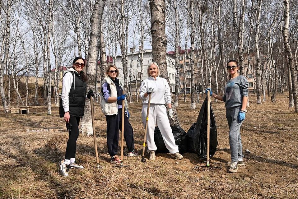 ������ ������� � �������: ����� ������ ������� � �������