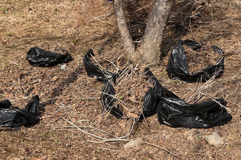 ������ ������� � �������: ����� ������ ������� � �������