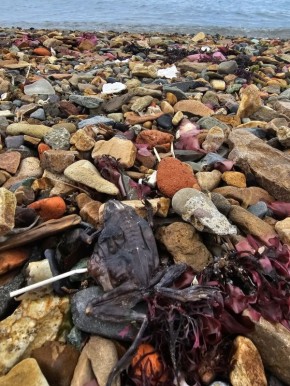 � �������� �� ��������� ���������� ������� ������� ������� � ����������� ������� � "����� ��������"