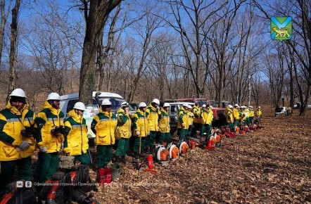 Леса Приморья под надёжной защитой