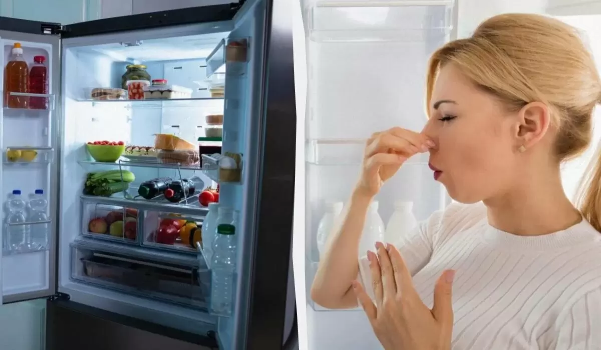 Эффективные решения для борьбы с запахами в холодильнике