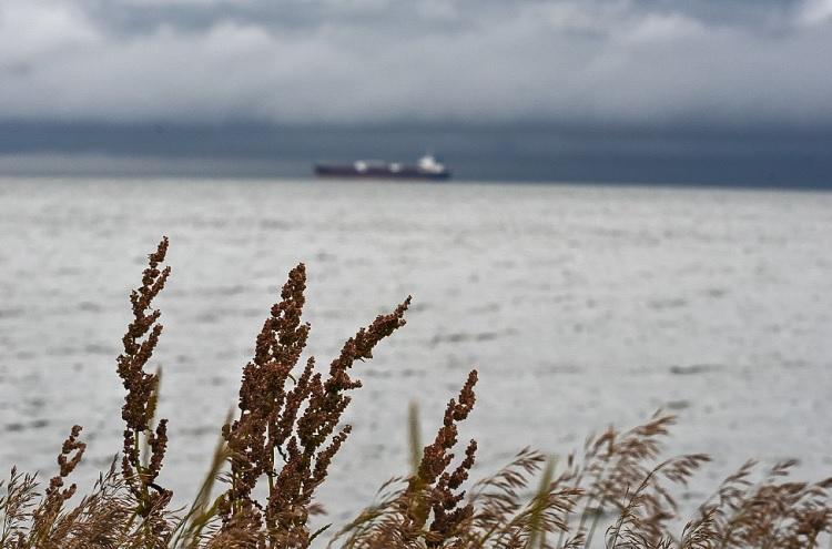 Циклон с Жёлтого моря принесёт дожди в Приморье: дата