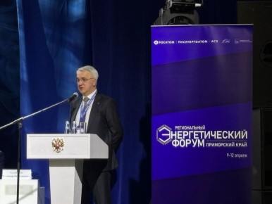 Энергетики рассказали, как будет устроена защита Приморской АЭС