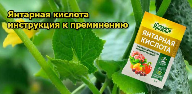 �������� �������: ������� ������������� ��� ������ ����