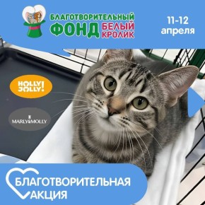 Друзья, радостные новости для всех неравнодушных