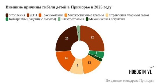 ДТП и утопления стали основными причинами гибели детей в Приморье в прошлом году