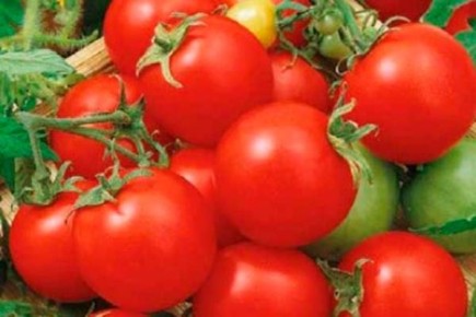 ����� ��������: ���������� ������ � ������������ ������