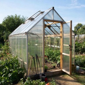 ������ ��� ��� ������: ��� ���������� ������� ��������� ������ ��� ��������