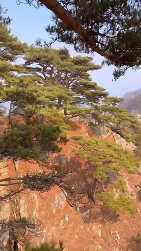 ��� �������� ���������� � ���������� ���� ( ������), �� ���������� ���������������� �������� ����������� �����������