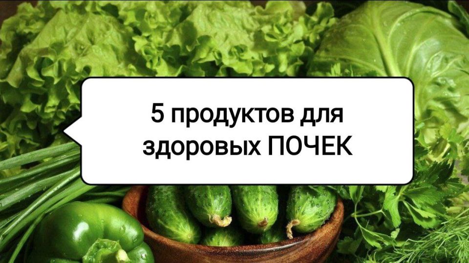 ������� �������� �����: 5 ������� ������, ������� ������� ��� ����������� ���� �����