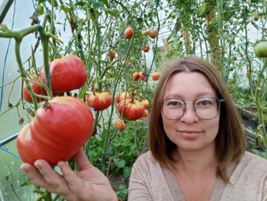 ������� ����� ���������� ������: ��� ����������� ��� ��� � ������ ������