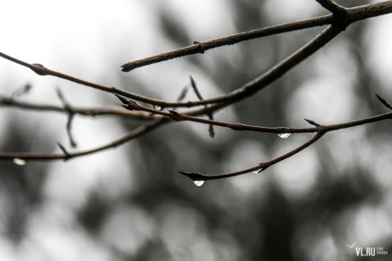 ������ ����! � �������, 11 ������, �� ������������ �������, ���� �������� ������ �����