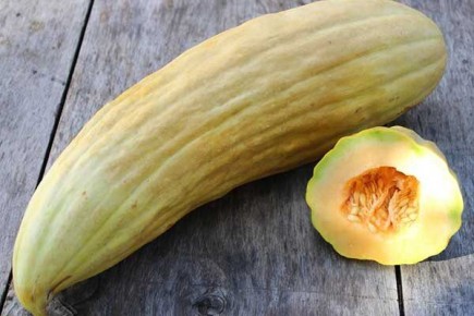 ������ ����� �������� �������� �� ���� �����: ���������� �������� � ������������ ����� �����