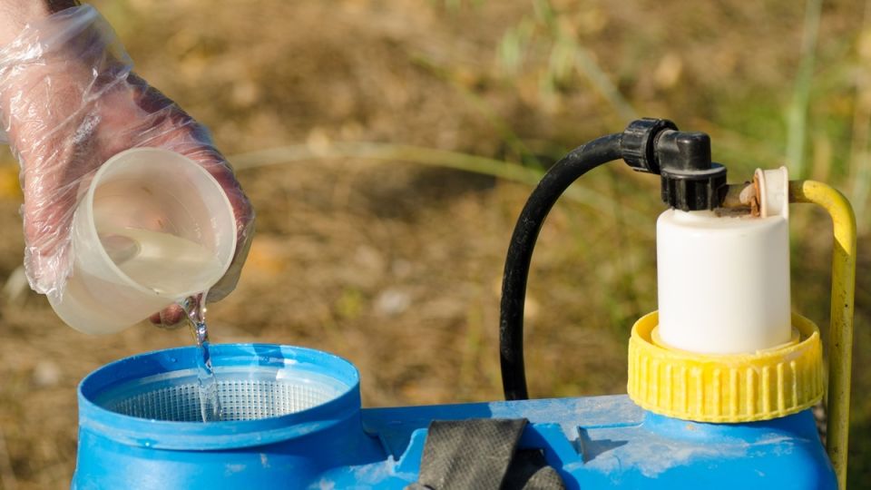 ��� ������� ������� ����� ���������� ��� ���