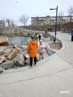 Первоклассники из Владивостока подготовили исследование о жизни брошенных черепашек в озере на Сафонова