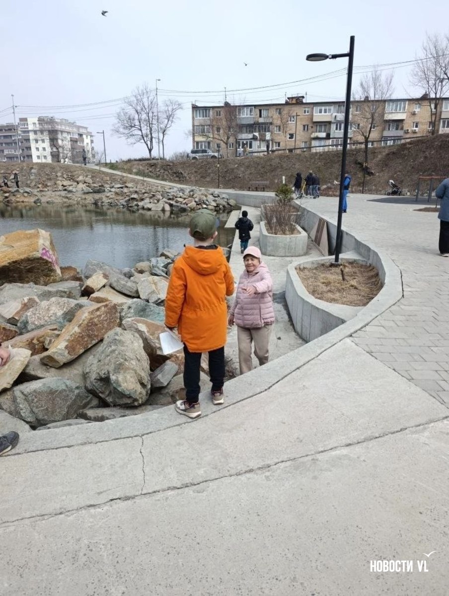 Первоклассники из Владивостока подготовили исследование о жизни брошенных черепашек в озере на Сафонова