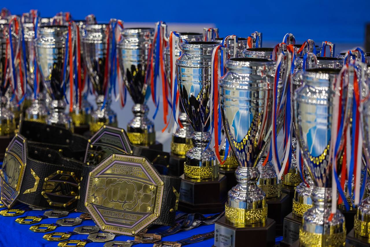 Во Владивостоке проходят соревнования по киокушинкай каратэ «Железный кулак» Во Владивостоке проходят соревнования по киокушинкай каратэ «Железный кулак»