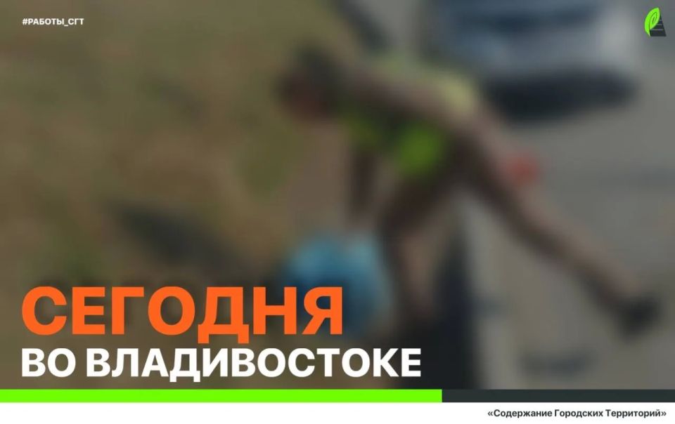 ������� �� ������������: ������ �� ���������� �����, �������� ��������������, �������� �������� � ���������� ������
