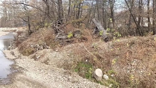 ���� ��������: ������������� ��������� ����� ��� � ������������� ������