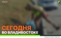 Сегодня во Владивостоке: работы на инженерных сетях, дорожной инфраструктуре, демонтаж объектов и санитарная уборка