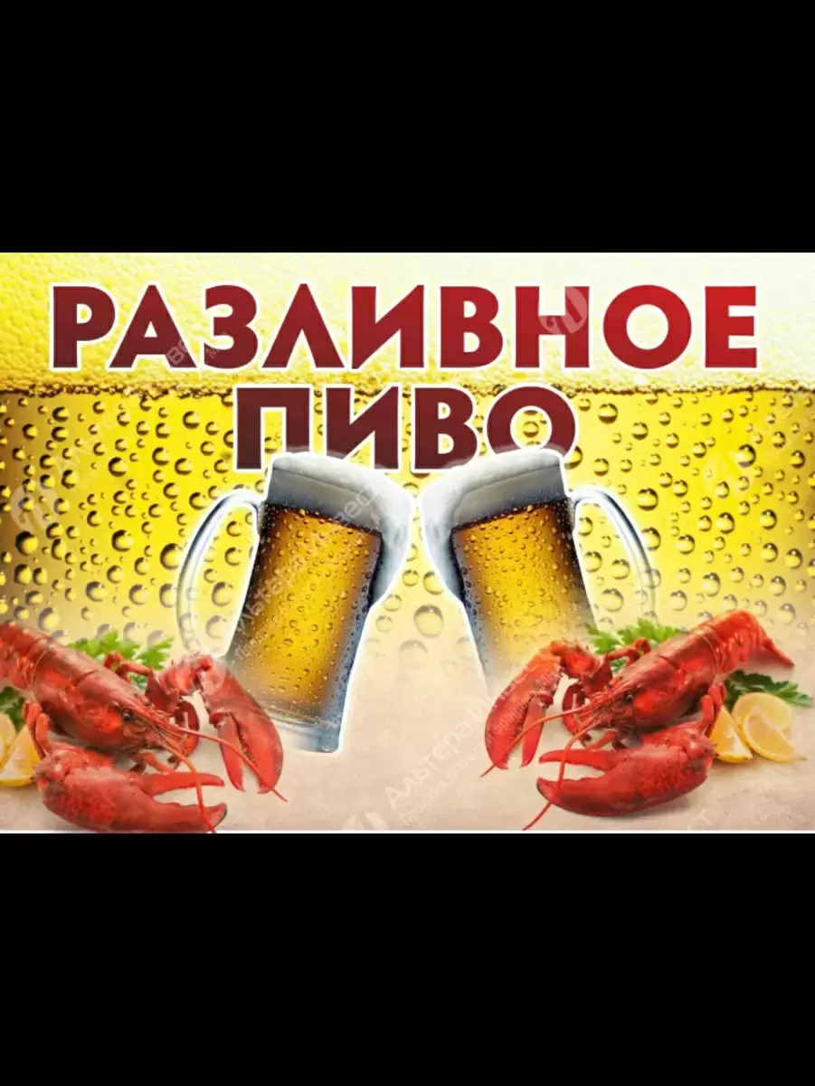 Почему живое пиво завоевывает сердца любителей пива по всему миру?