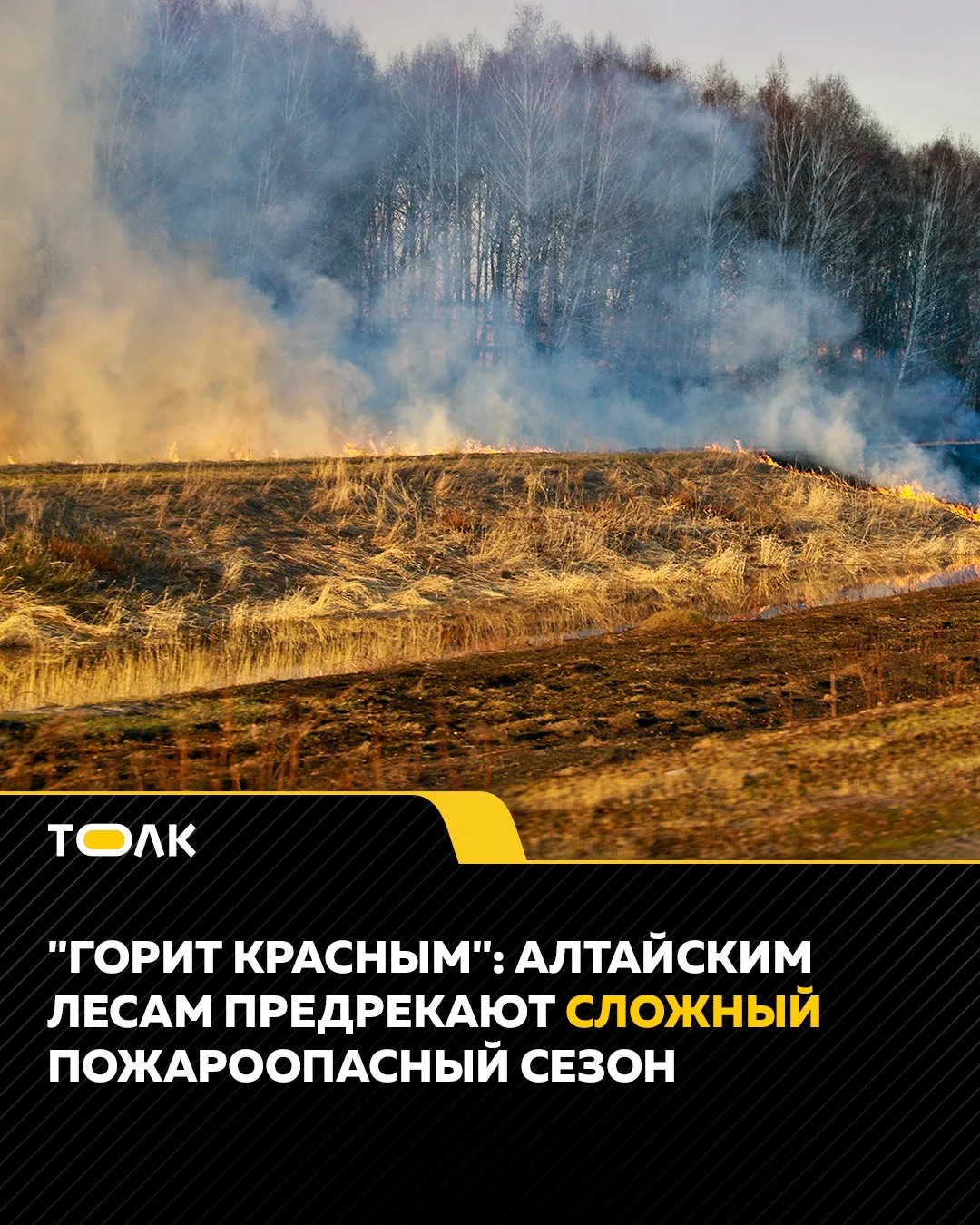 В Алтайском крае ожидают сложный пожароопасный сезон